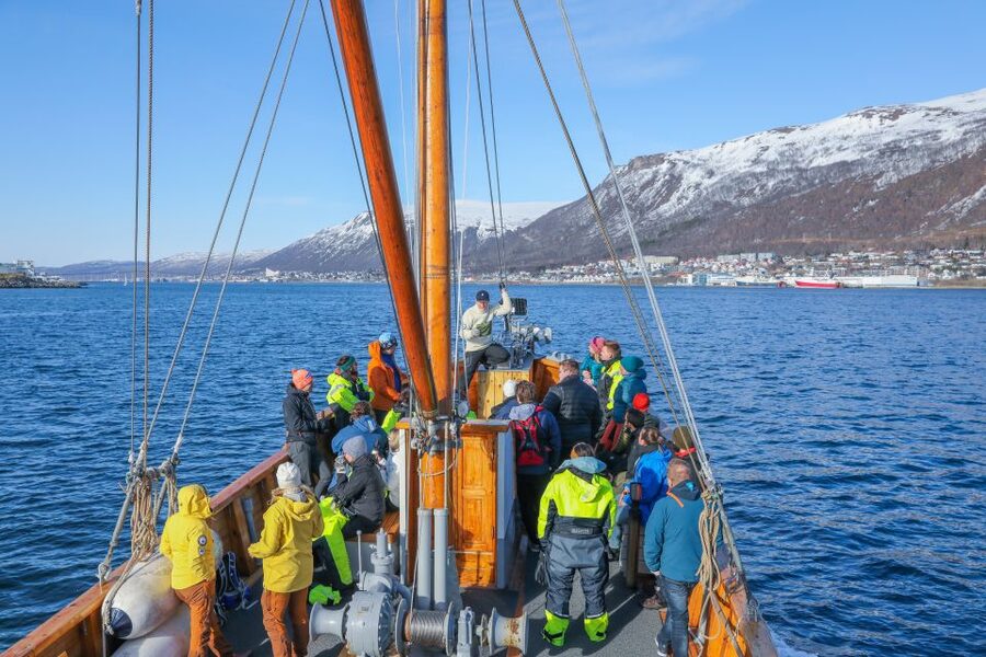 1 Hour Photo & History Cruise - Your 1 Hour Route: Tromsø Views from Under the Bridge