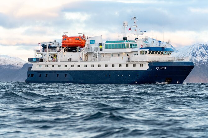 24hr Northern Lights & Whale Watching Cruise - Check-in and timing: why the 7:00 pm start matters
