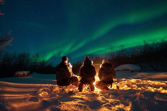 Adults Only Aurora Hunt with Wandering Owl - Northern Lights, but with warmth and a plan