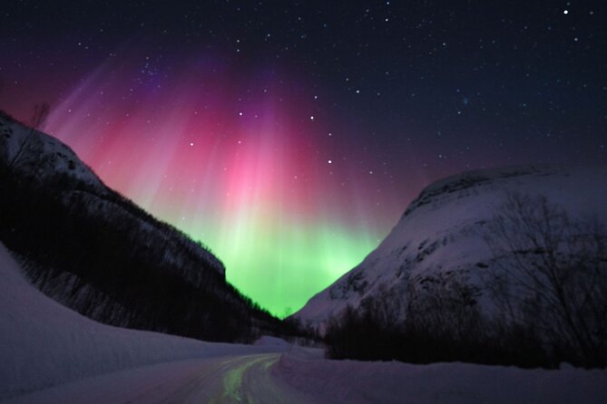 Adults Only Aurora Hunt with Wandering Owl - Stop 2 in Skibotn: moving inland when the sky changes