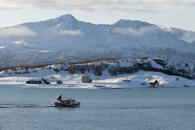 All-Inclusive Arctic Fjords and Sommarøy Scenic Tour - Key Highlights You’ll Care About