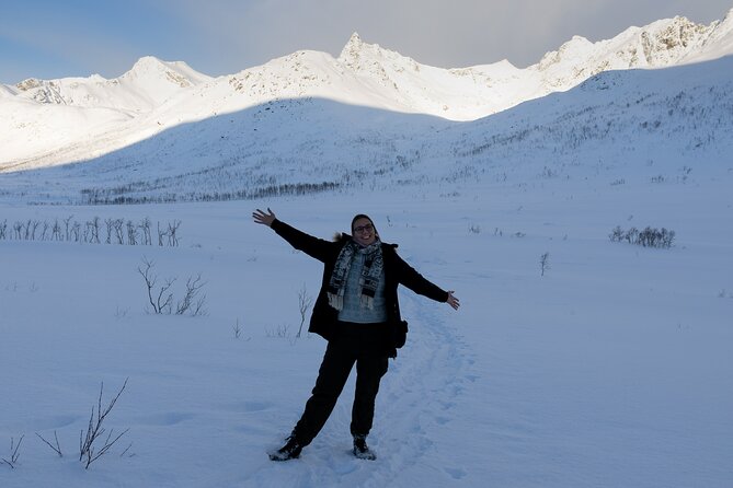 All-Inclusive Arctic Fjords and Sommarøy Scenic Tour - Guides and Included Photos: More Than a Sales Pitch