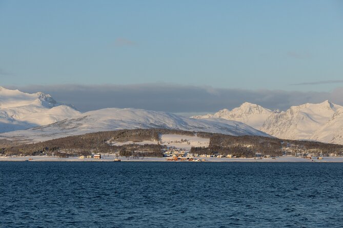 All-Inclusive Arctic Fjords and Sommarøy Scenic Tour - Price and Value: Why $220.77 Can Make Sense