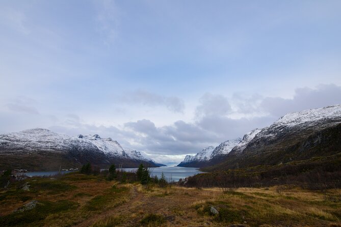 All-Inclusive Arctic Fjords and Sommarøy Scenic Tour - The Sommarøy Break: Norwegian Lunch With Coastal Views