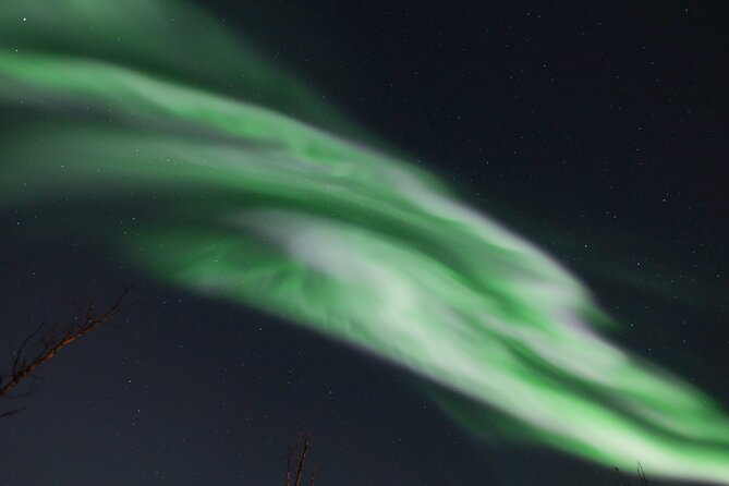 An All-Inclusive Tour - Aurora & Arctic Experience - The Guide and Photographer Role: How the Photo Help Actually Works