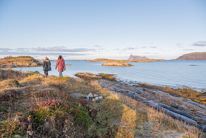 Arctic Fjord Roadtrip with Scenic Picnic from Tromso - First Scenic Stop: Wildlife Spotting and Fast-Moving Arctic Views