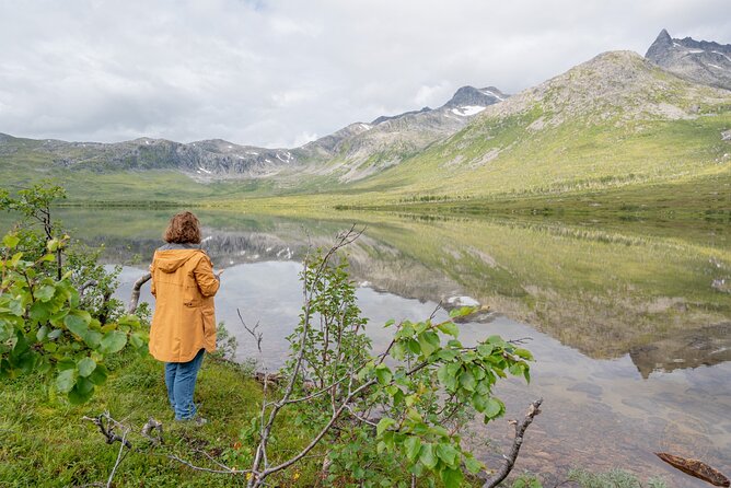 Arctic Fjord Roadtrip with Scenic Picnic from Tromso - The Scenic Picnic: What You’ll Actually Eat (and Why It Helps)