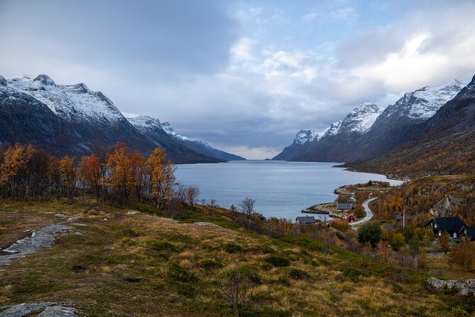 Arctic Fjord Roadtrip with Scenic Picnic from Tromso - Small-Group Guides and the Professional Photo Advantage