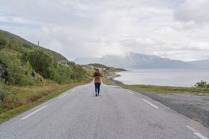 Arctic Fjord Roadtrip with Scenic Picnic from Tromso - Weather Reality in Northern Norway: How to Prepare (and What Happens if It Changes)