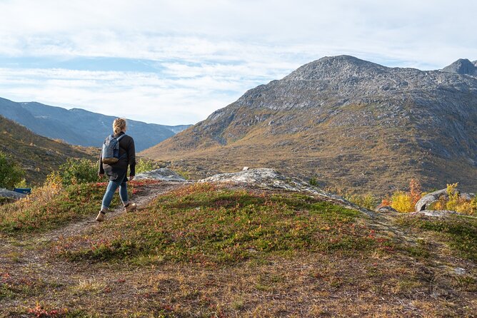 Arctic Fjord Roadtrip with Scenic Picnic from Tromso - Price and Value: Why This One Costs What It Costs