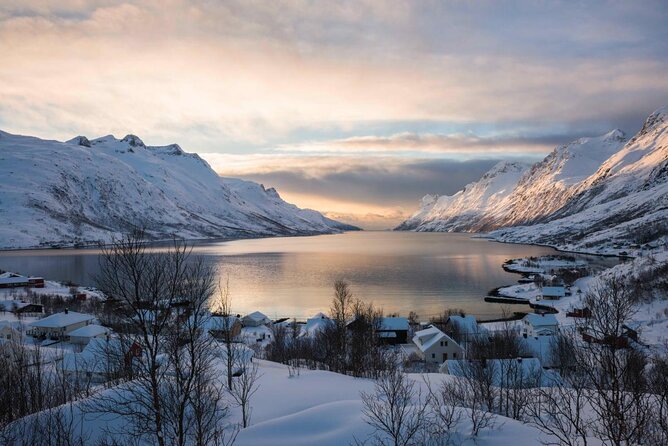 Arctic Fjord Sightseeing by Minibus - Key things I’d plan around