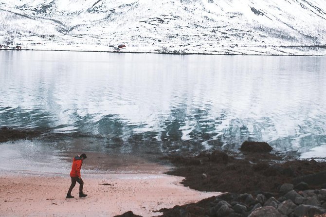 Arctic Fjord Sightseeing by Minibus - Getting out past Tromsø: why the minibus route works