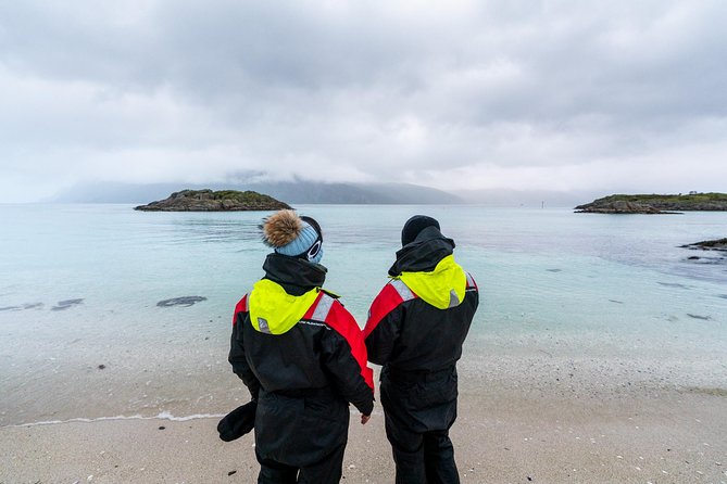 Arctic Fjord Sightseeing by Minibus - How the timing and group size shape your day