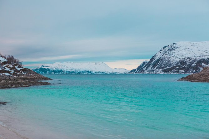 Arctic Fjord Sightseeing by Minibus - Weather is the boss here: what to expect on a winter day