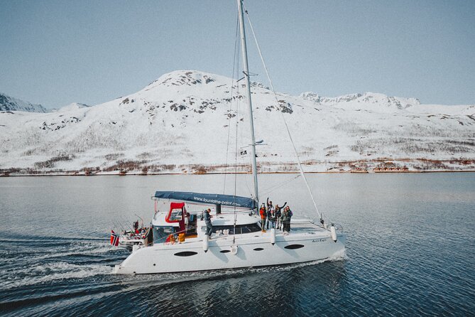 Arctic Fjordcruise & Safari in Tromso with Luxury Catamaran - A Luxury 3-Hour Fjord Cruise That Fits Real Tromsø Time
