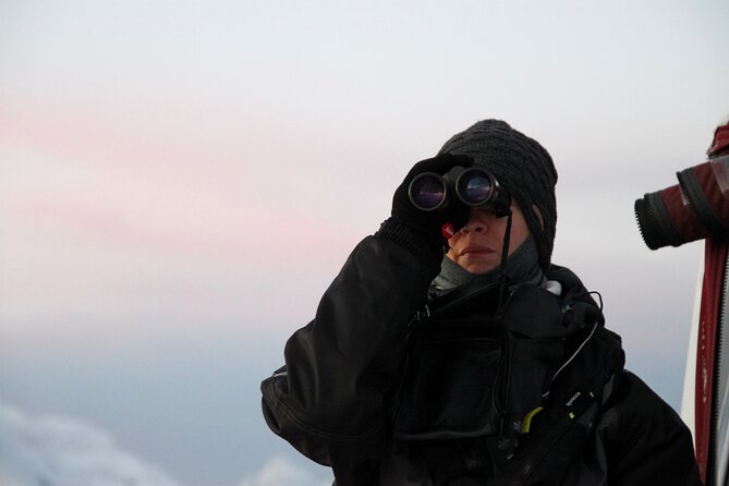 Arctic Fjordcruise & Safari in Tromso with Luxury Catamaran - Small Group Touring with Local Captains and Guides