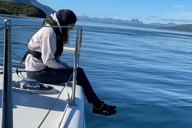 Arctic Fjordcruise & Safari in Tromso with Luxury Catamaran - When to Go: Winter Cold vs. Short Days vs. Weather Windows