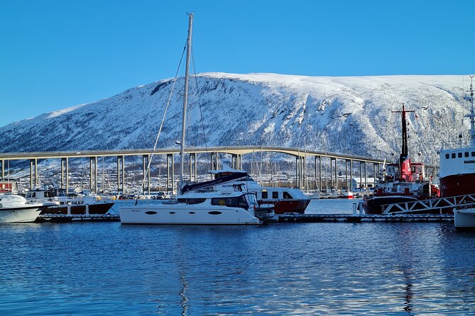 Arctic Fjordcruise & Safari in Tromso with Luxury Catamaran - Before You Go: Where to Meet and How to Prep