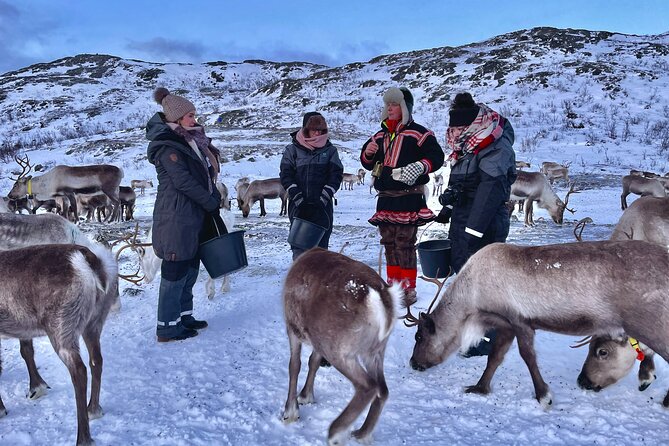 Arctic Fjords and Reindeer Experience – Small group tour - What the small-group size changes (in a good way)