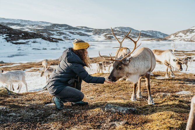 Arctic Fjords and Reindeer Experience – Small group tour - Timing and logistics that keep the day comfortable
