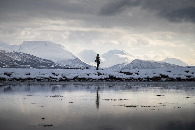 Arctic Landscapes Hiking, Sightseeing & Snowshoeing Private Tour - Arctic Landscapes tour highlights you will feel right away