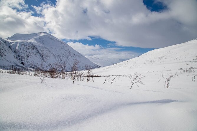Arctic Landscapes Hiking, Sightseeing & Snowshoeing Private Tour - Lunch, Hot Drinks, and a Photo Finish You Do Not Have to DIY