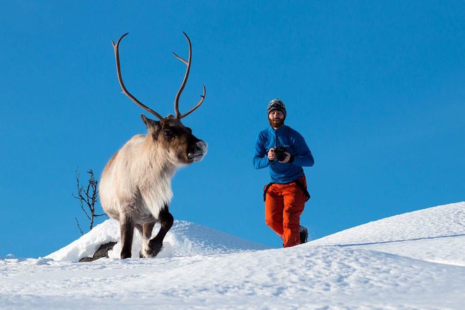 Arctic Nature Photography Sightseeing Tour from Tromso - Key highlights to notice before you go