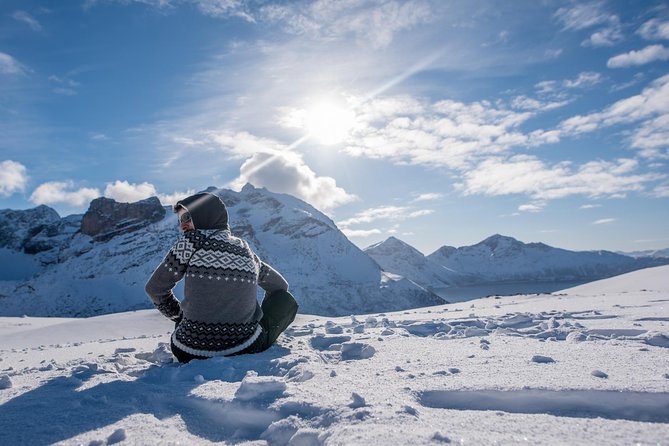 Arctic Nature Photography Sightseeing Tour from Tromso - Tromsø pickup to Kvaløya viewpoints: how the day actually flows