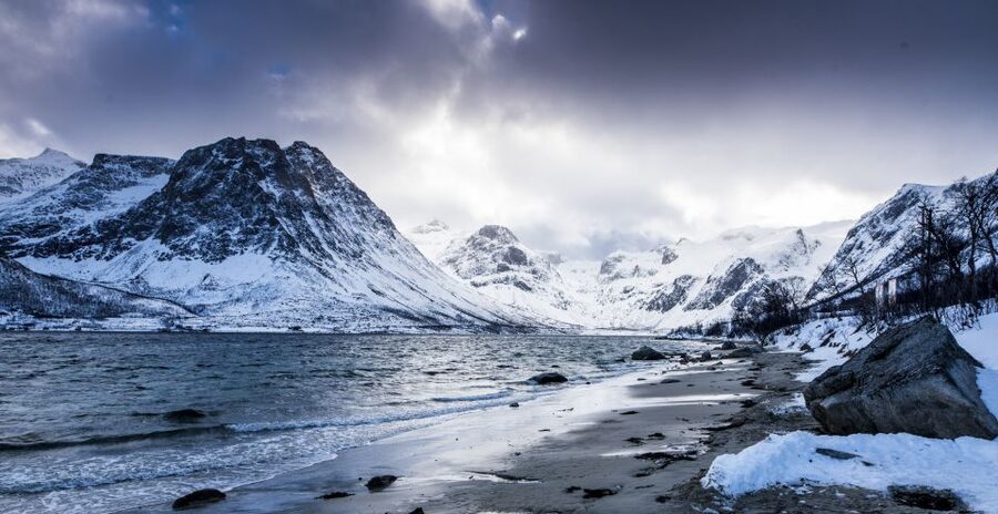 Arctic Nature Tour from Tromsø - Arctic Nature Tour Key Highlights in Tromsø and Kvaløya