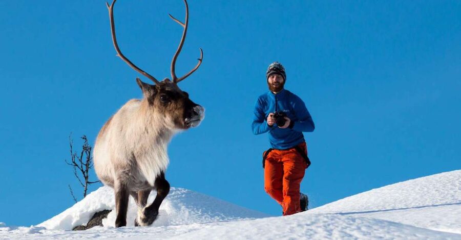 Arctic Nature Tour from Tromsø - Who should book this Arctic Nature Tour (and who might skip it)