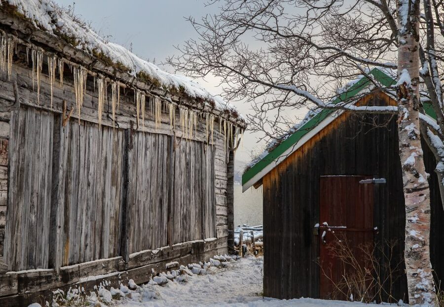 Arctic Nature Tour from Tromsø - Kvaløya photo stops and lunch: fjords, mountains, and small moments