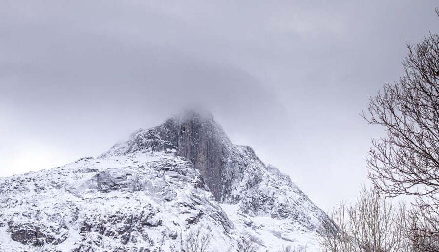 Arctic Nature Tour from Tromsø - Photography support that actually helps: tripod and next-day web photos