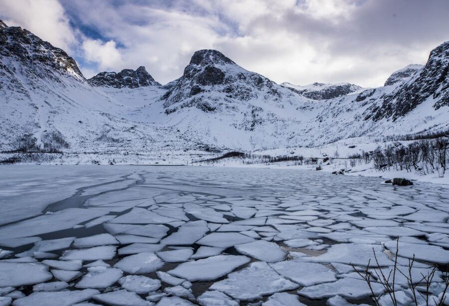 Arctic Nature Tour from Tromsø - Small group of 15: fewer crowds, more flexibility