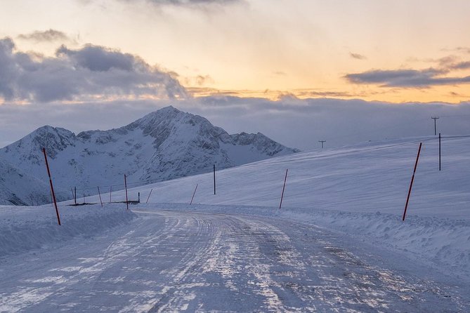 Arctic Nature Tour from Tromsø by minibus - Wildlife spotting: exciting odds, not a promise