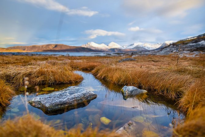 Arctic Nature Tour from Tromsø by minibus - Guides make or break the day: the personalities you’ll meet