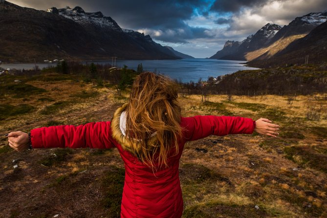 Arctic Nature Tour from Tromsø by minibus - Who should book this Tromsø Arctic Nature Tour