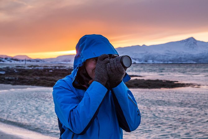 Arctic Nature Tour from Tromsø by minibus - Where the time goes: fjords, coastline views, and a beach break