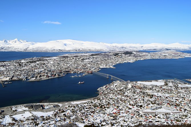 Arctic Panorama cable car excursion - Arctic Panorama at a Glance: What You’re Really Buying
