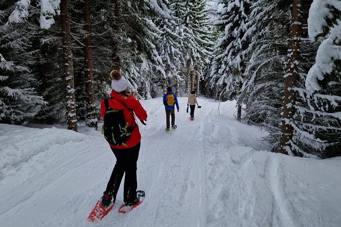 Arctic Snowshoe Hike in Norway - Chances at Arctic wildlife: what to expect without counting on miracles