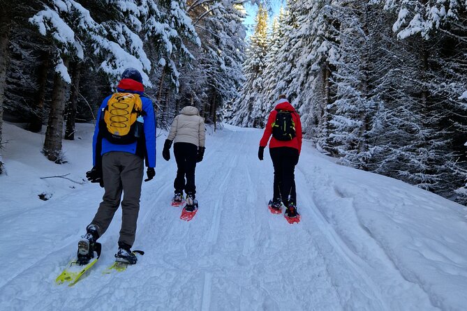 Arctic Snowshoe Hike in Norway - Snowshoes, or spikes when conditions force a change