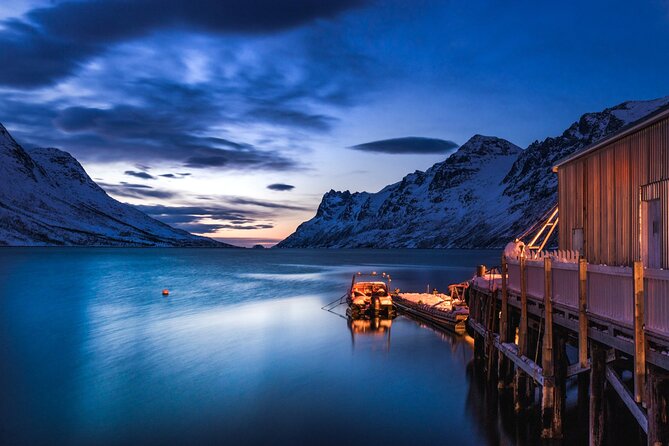 Arctic Wildlife and Fjord Sightseeing - Key Points Before You Go