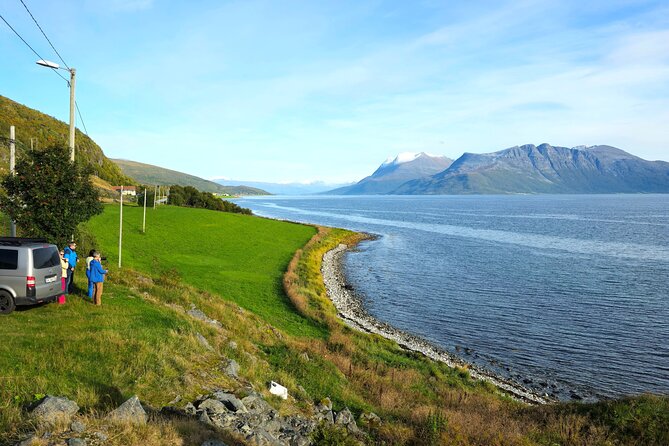 Arctic Wildlife and Fjord Sightseeing - Value and Price: Is $226.16 Worth It?