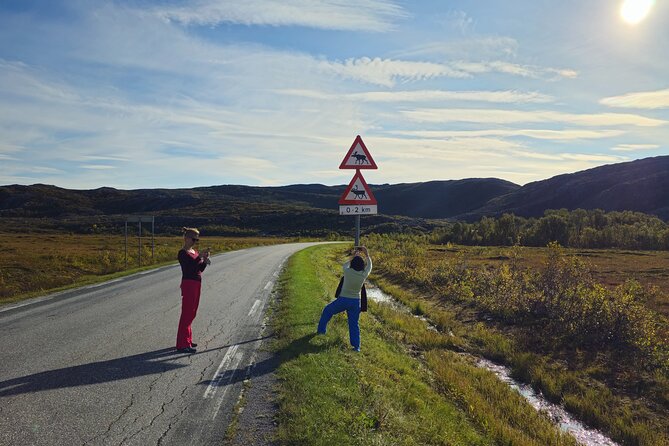 Arctic Wildlife and Fjord Sightseeing - Practical Tips for Your Day in Tromsø