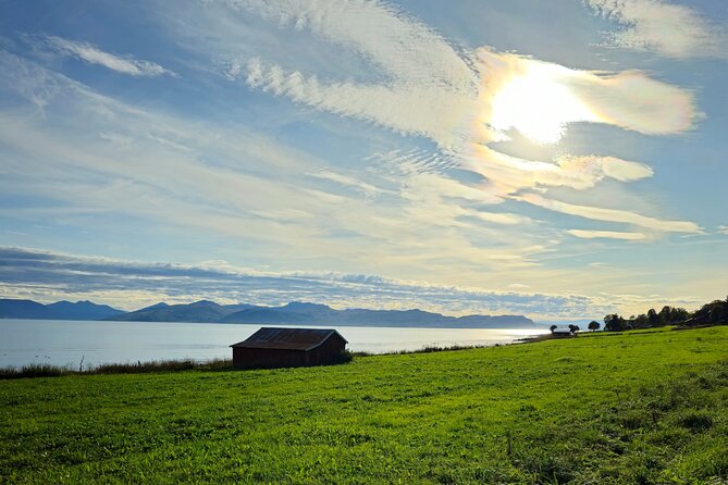 Arctic Wildlife and Fjord Sightseeing - FAQ