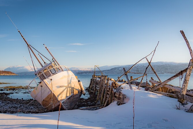 Arctic Wildlife and Fjord Sightseeing - Stop-by-Stop: What You’ll Get Out of Each Place
