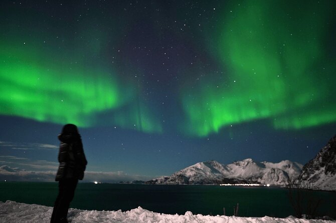 AURORA DAİLY Northern Lights Safari Tour 8 Guests with PİCKUP - Pickup, drop-off, and the reality of a long winter night