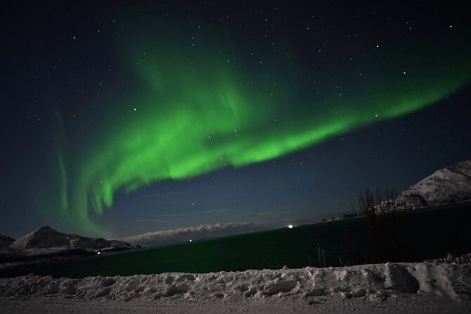 AURORA DAİLY Northern Lights Safari Tour 8 Guests with PİCKUP - When the aurora doesn’t show: setting expectations the useful way