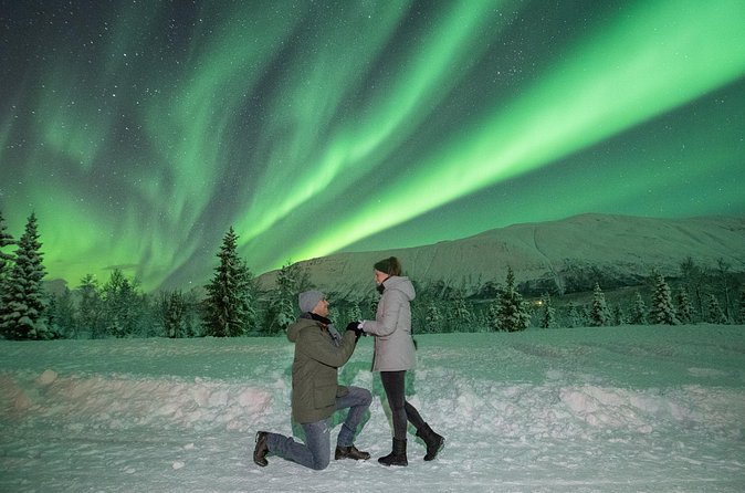 Aurora Safari Chase by big bus, free Photos, toilet onboard - Hot meal upgrade: reindeer stew vs fish soup, and what you should expect