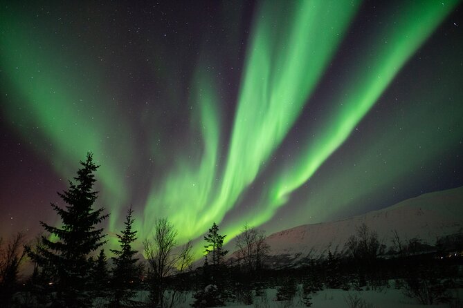 Aurora Safari Chase by big bus, free Photos, toilet onboard - Tromsø pickup and the first “search phase” near the Hurtigruten terminal