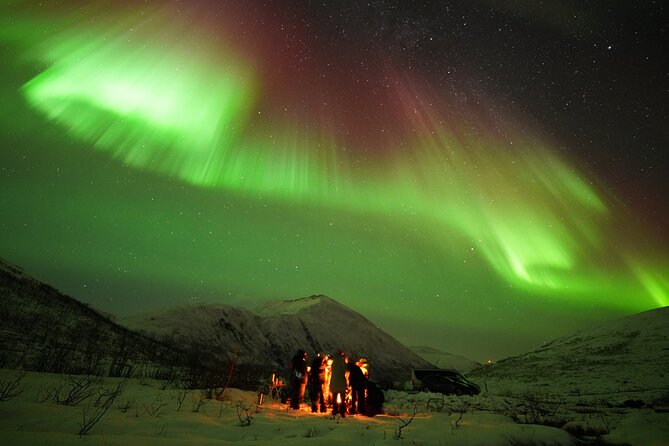Aurora tour with free portrait and bonfire - The viewing plan: how a wide 300 km search increases your odds